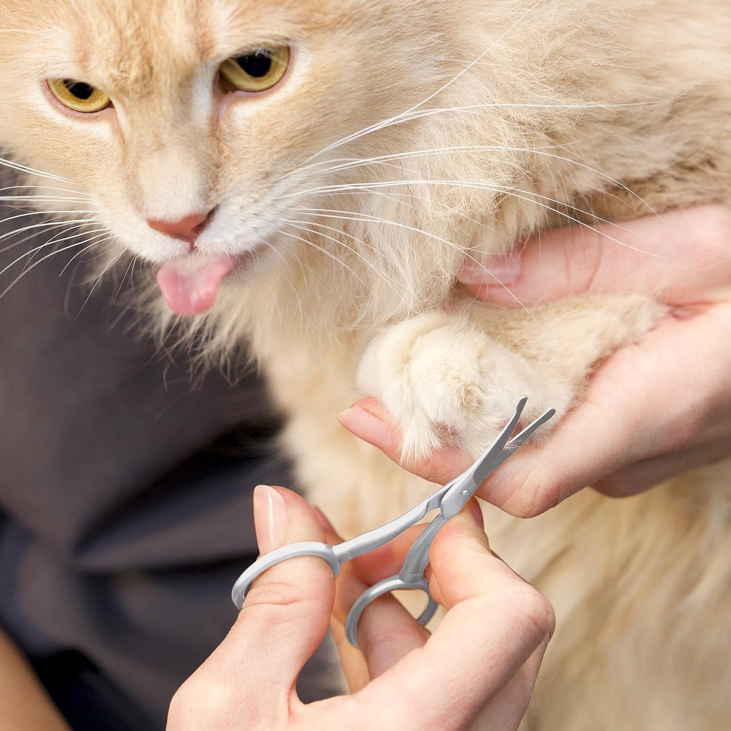tweezerman-pet-grooming-scissors-rounded-tip-trimming-scissor-for-dogs-cats