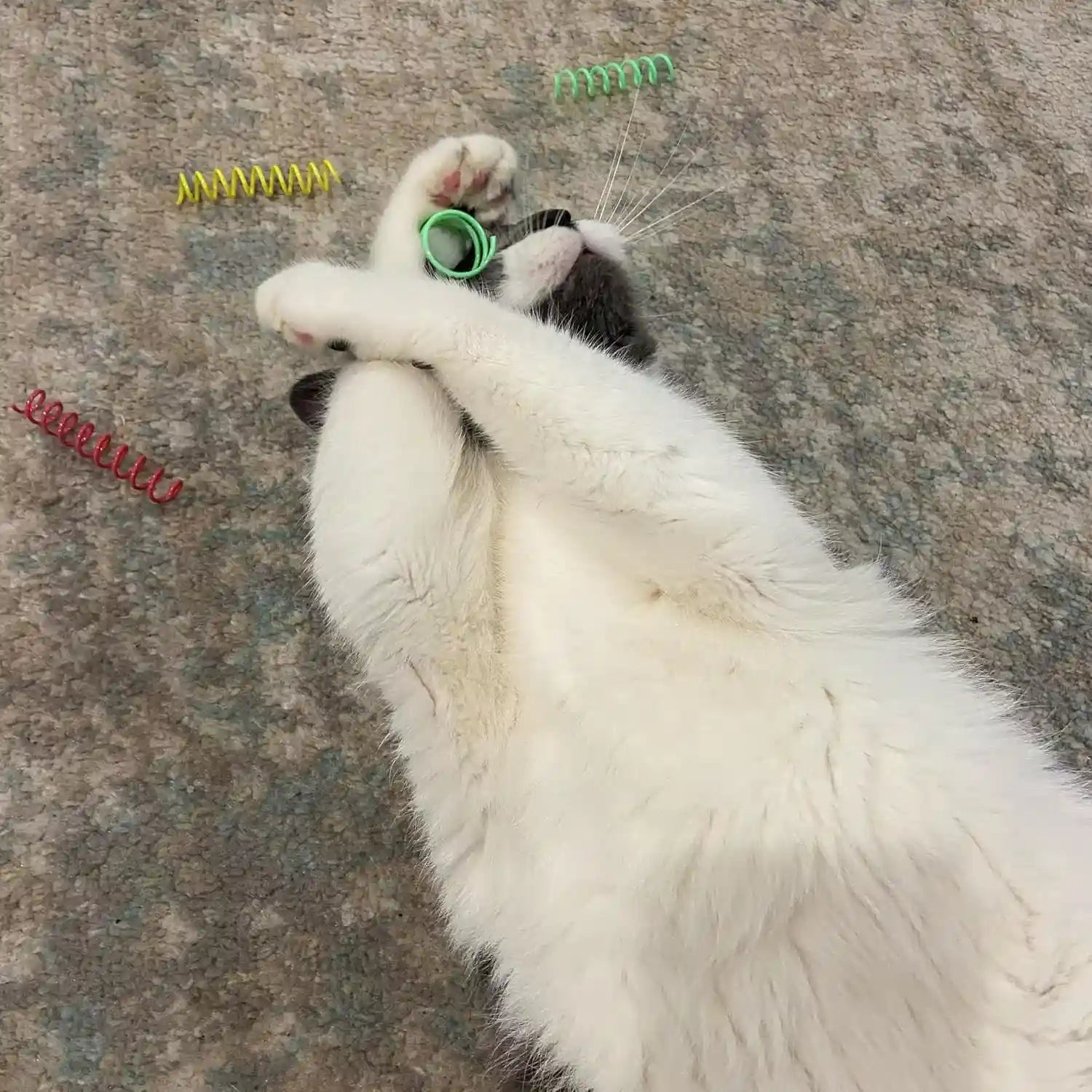 spot-colorful-springs-cat-toys-3-bouncy-coils-for-indoor-cats-kittens-to-swat-chase-bite-safe-lightweight-plastic-interactive-enrichment-toys-10-pack-multi-color