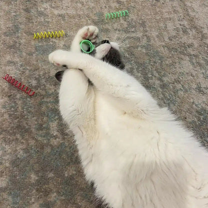 SPOT Colorful Springs Cat Toys – 3" Bouncy Coils for Indoor Cats & Kittens to Swat, Chase & Bite, Safe Lightweight Plastic, Interactive Enrichment Toys, 10-Pack Multi-Color3