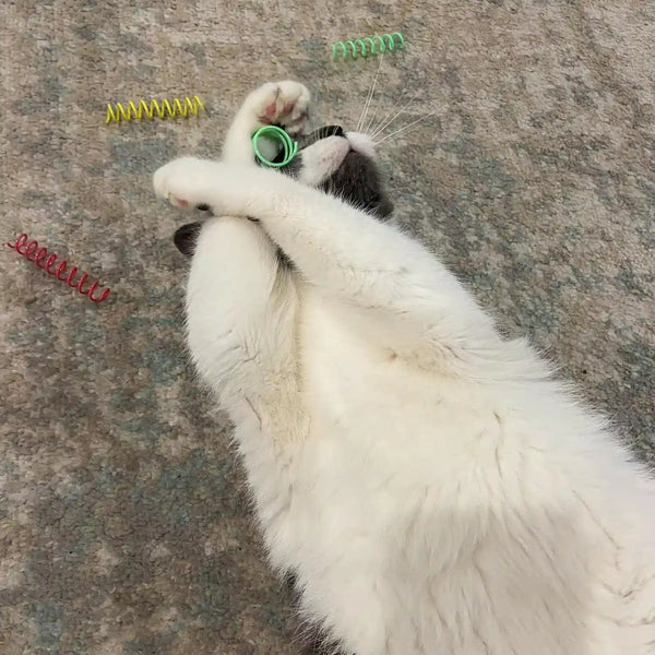 SPOT Colorful Springs Cat Toys – 3" Bouncy Coils for Indoor Cats & Kittens to Swat, Chase & Bite, Safe Lightweight Plastic, Interactive Enrichment Toys, 10-Pack Multi-Color3