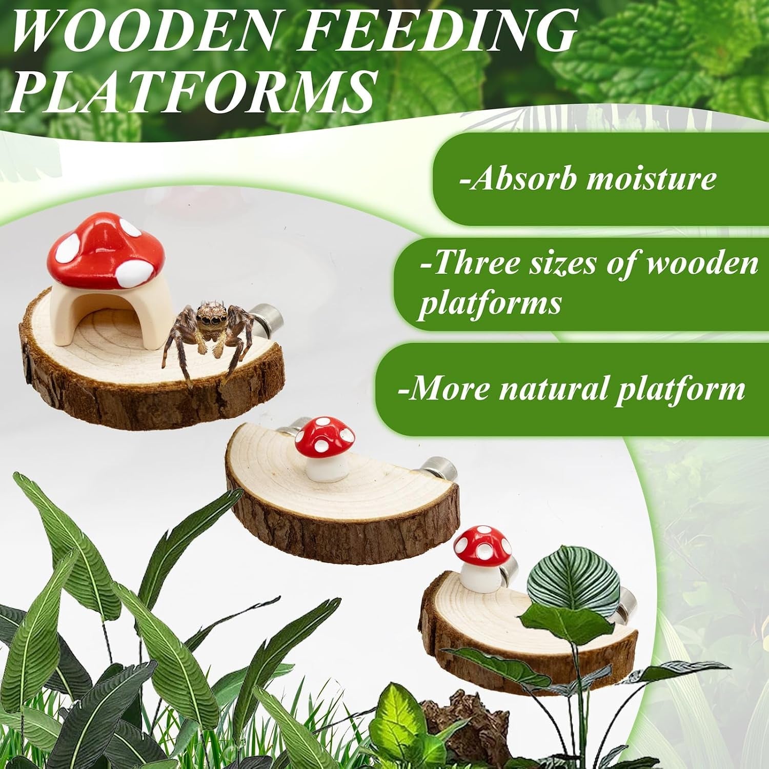 jumping-spider-habitat-accessories-enclosure-habitat-accessories-jumping-spider-web-climbing-and-feeding-platforms-with-magnets-for-small-insects-critters