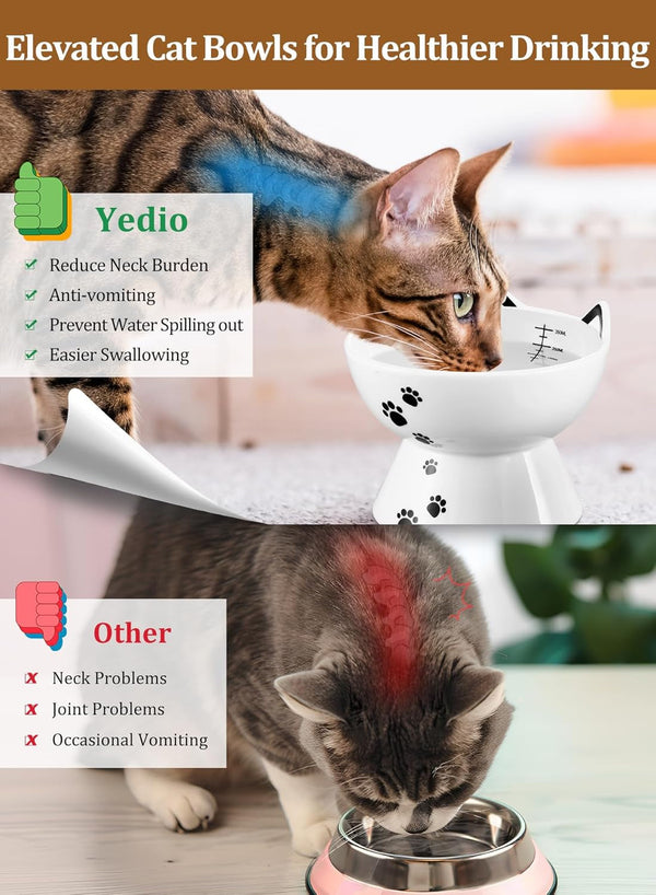 Porcelain Raised Cat Bowl, No Spill Cat Water Bowl with anti Slip Band, Elevated Porcelain Pet Bowl Protect Pet'S Spine, Large Capacity Pet Water Bowl, 15 Oz, Dishwasher Safe | anti Vomiting, Whisker Friendly, Shallow Food Dish and Deep Water Bowl, Anti-Slip Base, Lead&Cadmium-Free, Senior-Pet Access3