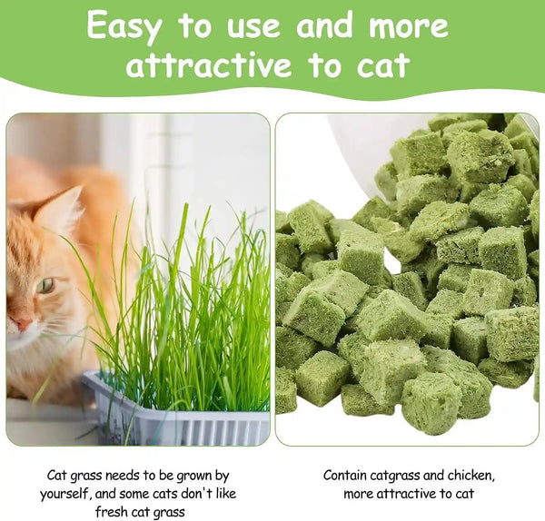 60G Cat Grass Treats for Indoor Cats, Freezed Dried Cat Grass Teething Stick Snacks for Cats, Edible Feline Chew Toys for Hairball Control and Oral Health9