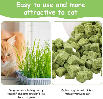 60G Cat Grass Treats for Indoor Cats, Freezed Dried Cat Grass Teething Stick Snacks for Cats, Edible Feline Chew Toys for Hairball Control and Oral Health9