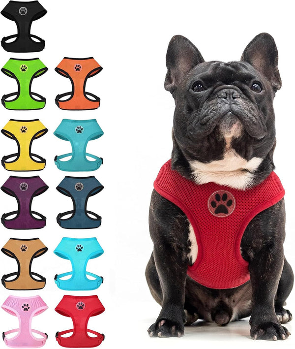BINGPET Small Dog Harness, No Pull Dog Harness Small Sized Dogs, Soft Light Breathable Mesh Puppy Vest with Safety Buckle-Adjustable Step in Pet Harnesses for Easy Walking, Running, Training8