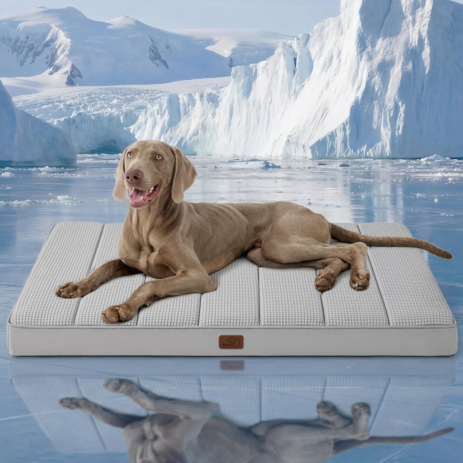 bedsure-washable-dog-beds-large-sized-dog-with-comfy-sherpa-36x27in-grey-orthopedic-egg-crate-foam-comfort-support-flat-rectangle-pet-mat-non-slip-bottom-removable-cover-for-large-breed-up-to-55-lbs