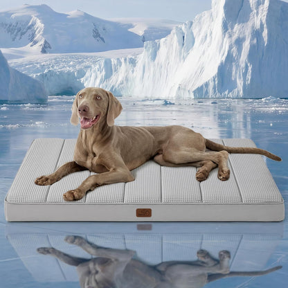 Bedsure Washable Dog Beds Large Sized Dog with Comfy Sherpa, 36X27In Grey | Orthopedic Egg Crate Foam,Comfort Support Flat Rectangle Pet Mat,Non-Slip Bottom,Removable Cover,For Large Breed up to 55 Lbs25