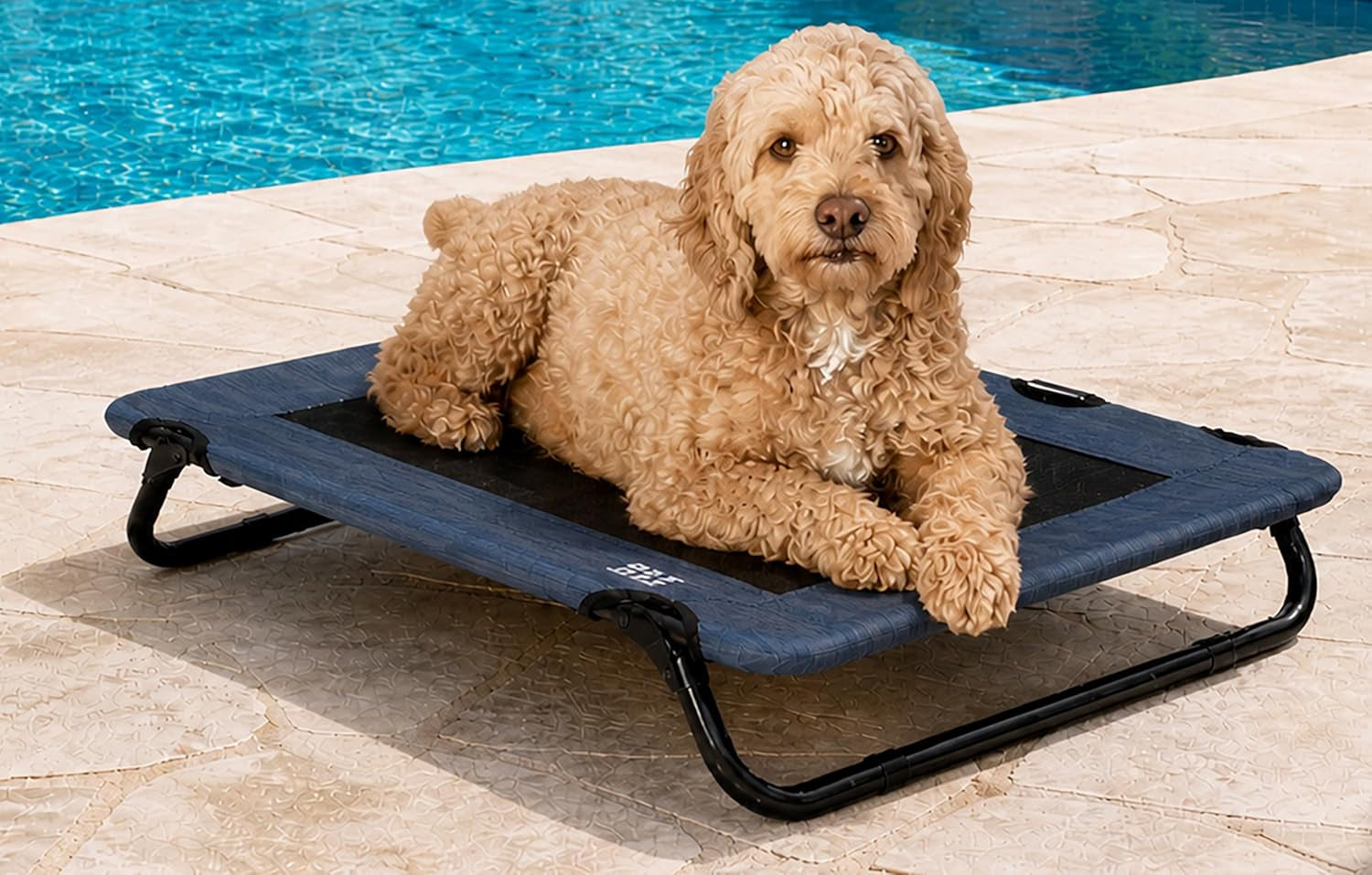 pet-gear-lifestyle-pet-cot-elevated-bed-30-inch-caribbean-ocean-no-assembly-required-premium-tear-resistant-cooling-mesh-indoor-outdoor-lightweight-portable