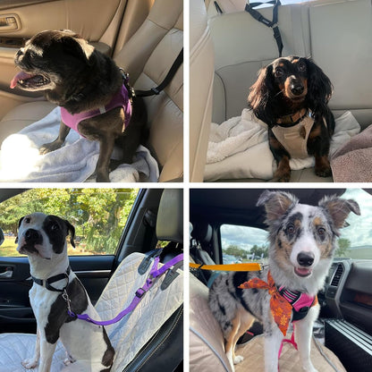 BWOGUE 2 Pack Dog Seat Belt for Car, Headrest Restraint Safety Leads | Headrest Loop for Car Travel, 18-30 in Adjustable, 2-In-1 Seat Belt and Leash, 2 Pack for Dogs and Cats, Use with Dog Harness7