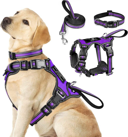 WINSEE Pet Harness Collar and Leash Set, All-In-One Reflective Dog Harness No Pull with Adjustable Buckles for Puppies, Small, Medium, Large, and Extra-Large Dogs (Large, Pink)21