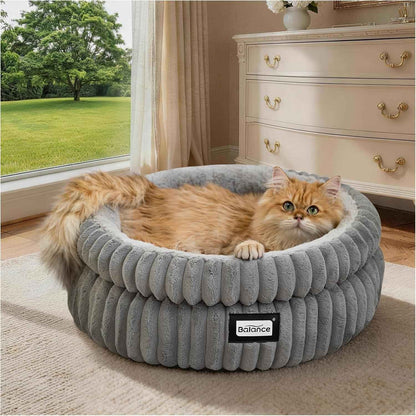 Fluffy orange cat resting in cozy gray ribbed pet bed near window, ideal for cats and dogs1