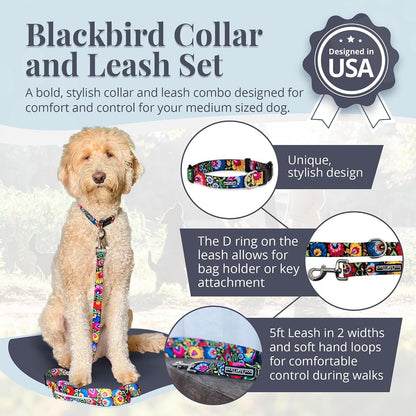 Lucky Love Dog - Easy Click Buckle Dog Collar with Leash Set Combo, Durable & Comfortable for Male & Female Dogs, Pet Collar for Medium Dogs, Secure Fit - Blackbird Combo, Medium2