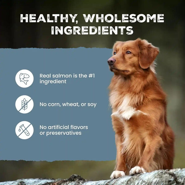 Blue Buffalo Wilderness Trail Treats Salmon Crunchy Dog Biscuits, Grain-Free & High-Protein, Bite-Sized Training Treats Made with Real Salmon & Natural Ingredients, 24-Oz Bag8