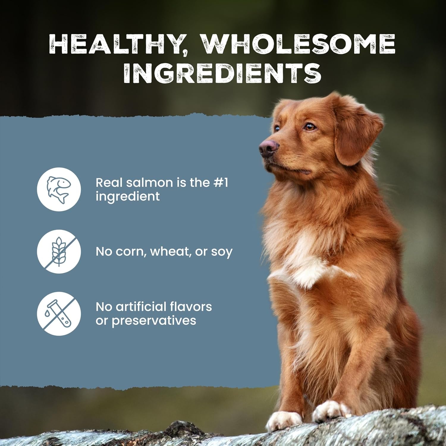 blue-buffalo-wilderness-salmon-crunchy-dog-biscuits-grain-free-24-oz-real-salmon-1-ingredient-high-protein-dog-treats-no-artificial-preservatives