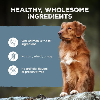 Blue Buffalo Wilderness Salmon Crunchy Dog Biscuits, Grain-Free, 24 Oz | Real Salmon #1 Ingredient, High Protein Dog Treats, No Artificial Preservatives8