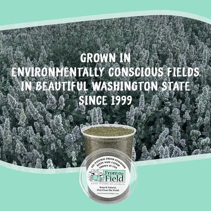 From the Field | Fine Ground Stalkless Catnip | Premium Usa-Grown Catnip for Toys & Playtime | Fresh, Potent, Non-Toxic, Eco-Friendly | Safe for Kittens & Cats | Resealable 6 Oz Tub7