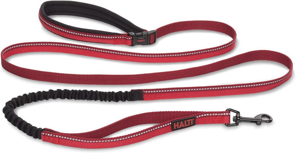 HALTI Active Leash - Award-Winning Bungee Dog Leash, Shock-Absorbing, All-In-One Neoprene Padded Belt & Lead, Perfect for Running & Training with Medium & Large Dogs (Size Large, Blue) | Award-Winning Bungee Dog Leash | Shock-Absorbing Anti-Pull Leash | Padded Belt | Running & Training Medium & Large Dogs5