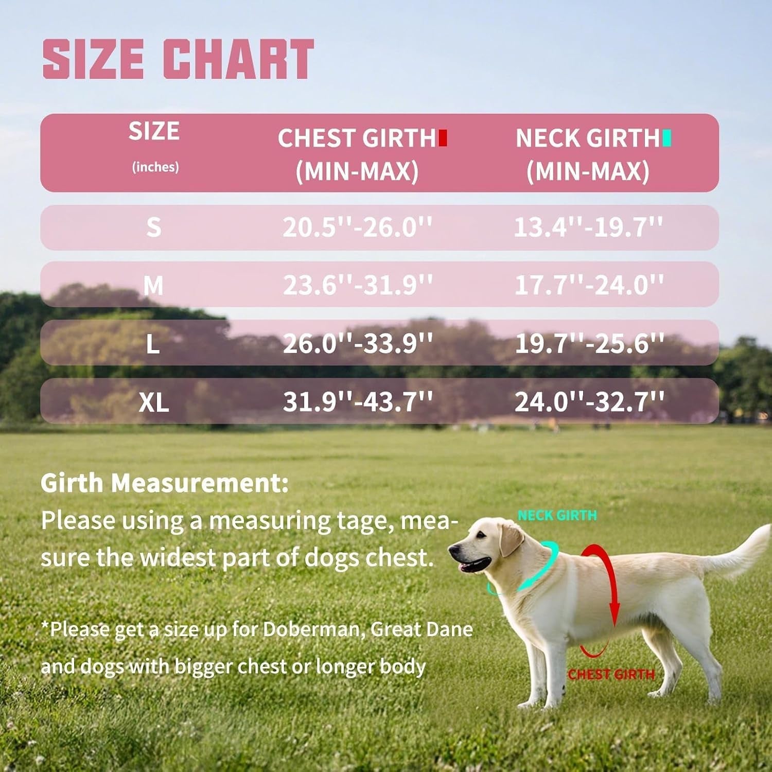 auroth-dog-harness-and-leash-set-soft-padded-service-dog-vest-with-5-25ft-dog-leash-no-choke-easy-on-pet-vest-adjustable-reflective-no-pull-pet-vest-medium-sized-dog-easy-walking-and-training