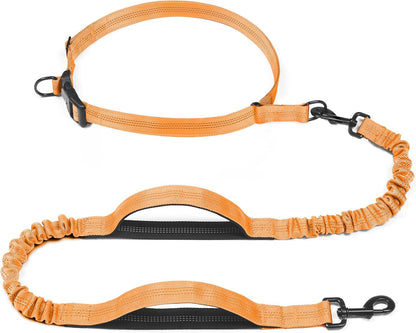 Iyoshop Retractable Hands Free Dog Leash - Dual Handle Bungee Waist Leash for Small, Medium and Large Dogs (Medium/Large, 25-150 Lbs, Black)9