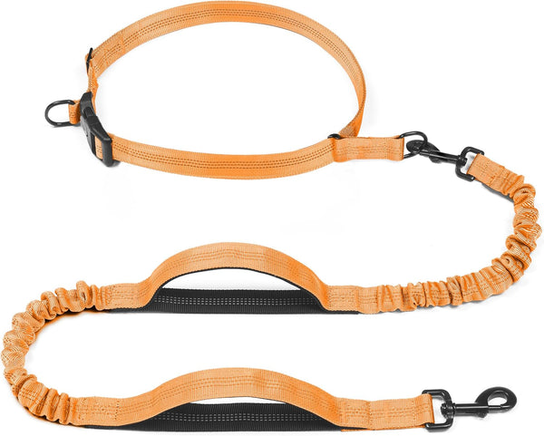 Iyoshop Retractable Hands Free Dog Leash - Dual Handle Bungee Waist Leash for Small, Medium and Large Dogs (Medium/Large, 25-150 Lbs, Black)9