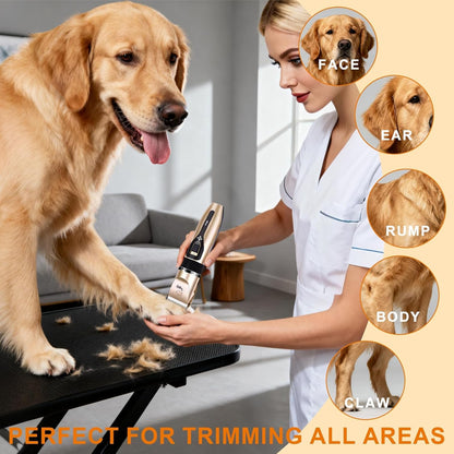 Dog Clippers for Grooming, Low Noise, Electric Quiet, Adjustable Clipper Comb for Dog Grooming Kit, Cat Supplies Pet Hair Clippers Grooming Kit for Dogs at Home4