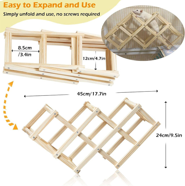 Kiln-Dried Wood Rat Climb Toy, Hanging Cage Ladder Activity (M, 1Pc) | Natural Rat Cage Bridge, Multiple Openings & Directional Ramps Offer Challenges to Satisfy Rats' Instincts for Explore & Play2