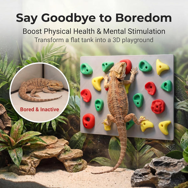 2-Pack Climbing Wall for Reptiles, Terrarium Habitat Decor | 2PCS Climbing Wall for Reptiles for Bearded Dragons, Leopard Geckos, Habitat Decor & Enrichment2