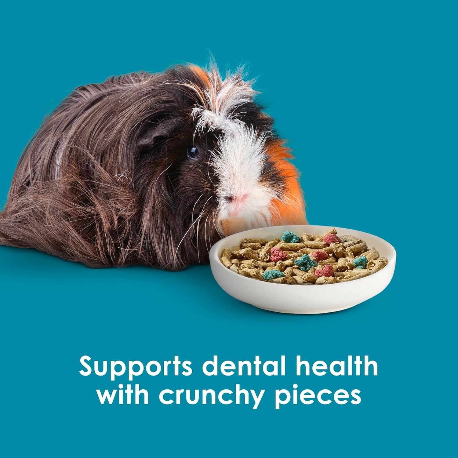 kaytee-forti-diet-pro-health-nourish-protect-guinea-pig-food-comprehensive-nutrition-backed-by-science-digestive-health-immune-support-5-pounds