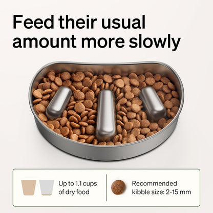 PETLIBRO Slow Feeder Bowl for Small Dogs & Cats, 1.125 Cup— Anti-Gulp Stainless Steel Dog & Cat Bowl, Helps Reduce Risk of Bloat, Dishwasher Safe — Compatible with PETLIBRO Camera Automatic Feeder8