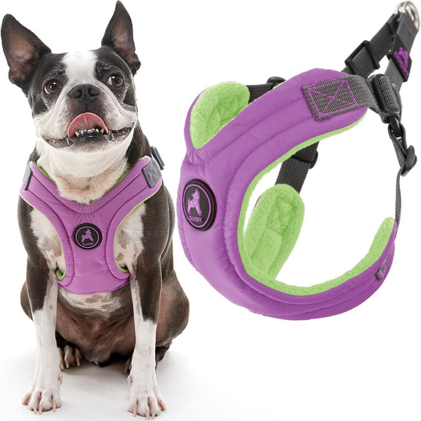 Gooby Escape Free Memory Foam Harness - Green, Large - No Pull Step-In Small Dog Harness with Four Point Adjustment - Perfect on the Go Dog Harness for Medium Dogs No Pull and Small Dogs11