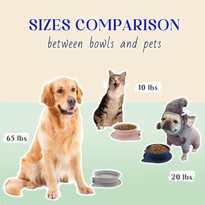 RUNROLE 2 in 1 Collapsible Dog Travel Water Bowls, Portable Pet Cat Bowl | Slot Together & Use Separately, Bpa-Free Silicone Feeding Watering Foldable Travel Bowls, Pet Travel Food Dishes, 20OZ+27OZ3