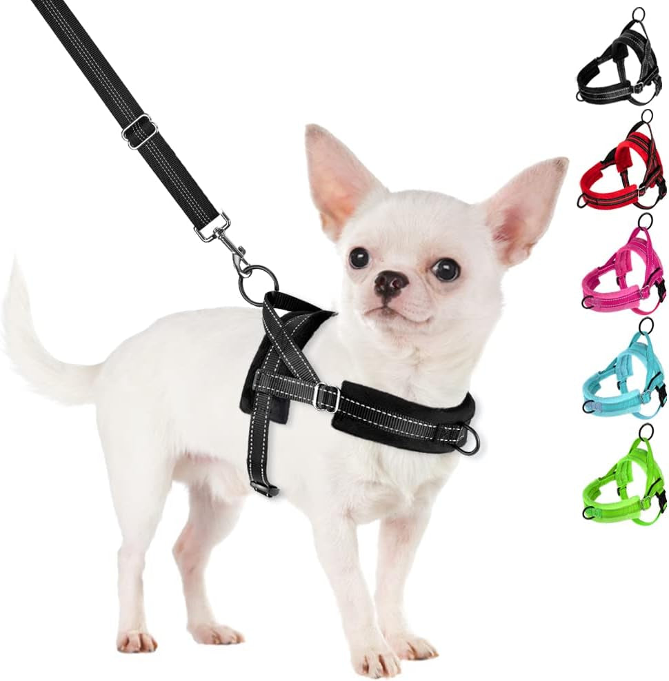 slowton-no-pull-small-dog-harness-and-leash-set-puppy-soft-vest-harness-neck-chest-adjustable-reflective-lightweight-harness-anti-twist-pet-lead-combo-for-small-medium-dogs-fuchsia-xxs