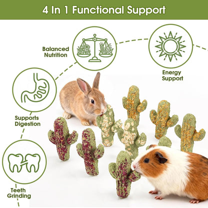 Abizoo Rabbit Chew Toys Natural Timothy Hay Oat Bunny Treats Snack Bunny Chew Sticks 9 Pcs Compressed Cactus Bunnies Enrichment Toys for Rabbit Guinea Pig Hamster Chinchilla Gerbil Dental Care4