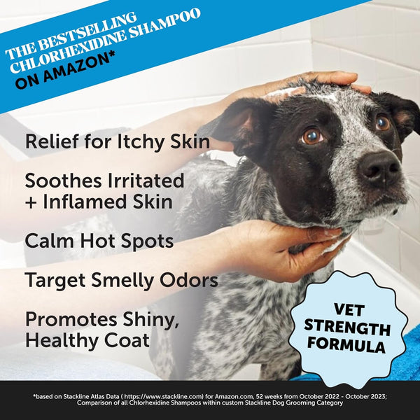 Pet Honesty Chlorhexidine Cat & Dog Seasonal Itch Relief Shampoo, for Allergies, Itching, Skin and Coat Supplement, Helps Shedding, Hot Spots, Deodorizing Dog Shampoo & Grooming Supplies,16Oz2