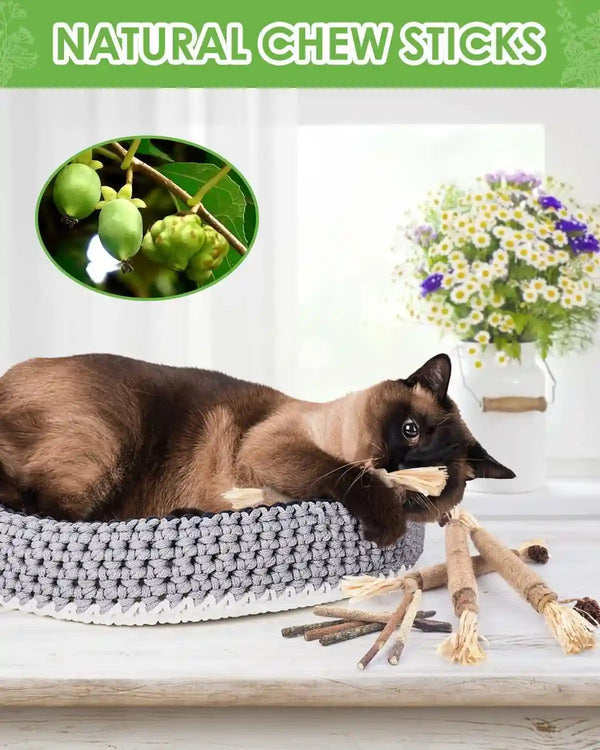 TINDTOP Silvervine Chew Sticks for Cats, 10 Pack Natural Catnip Chew Toys | for Kittens Teeth Cleaning, Matatabi Dental Care, Increase Appetite, Calm Cat Anxiety and Stress, Aggressive Chewers Toy6