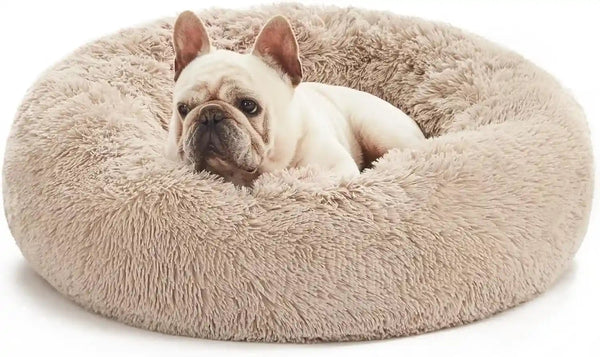 Love'S Cabin Calming Cat Bed for Indoor Cats, Anti-Anxiety Donut round Dog Bed, Fluffy Faux Fur Washable Pet Bed for Small Medium Dogs and Cats, Grey, 20In16