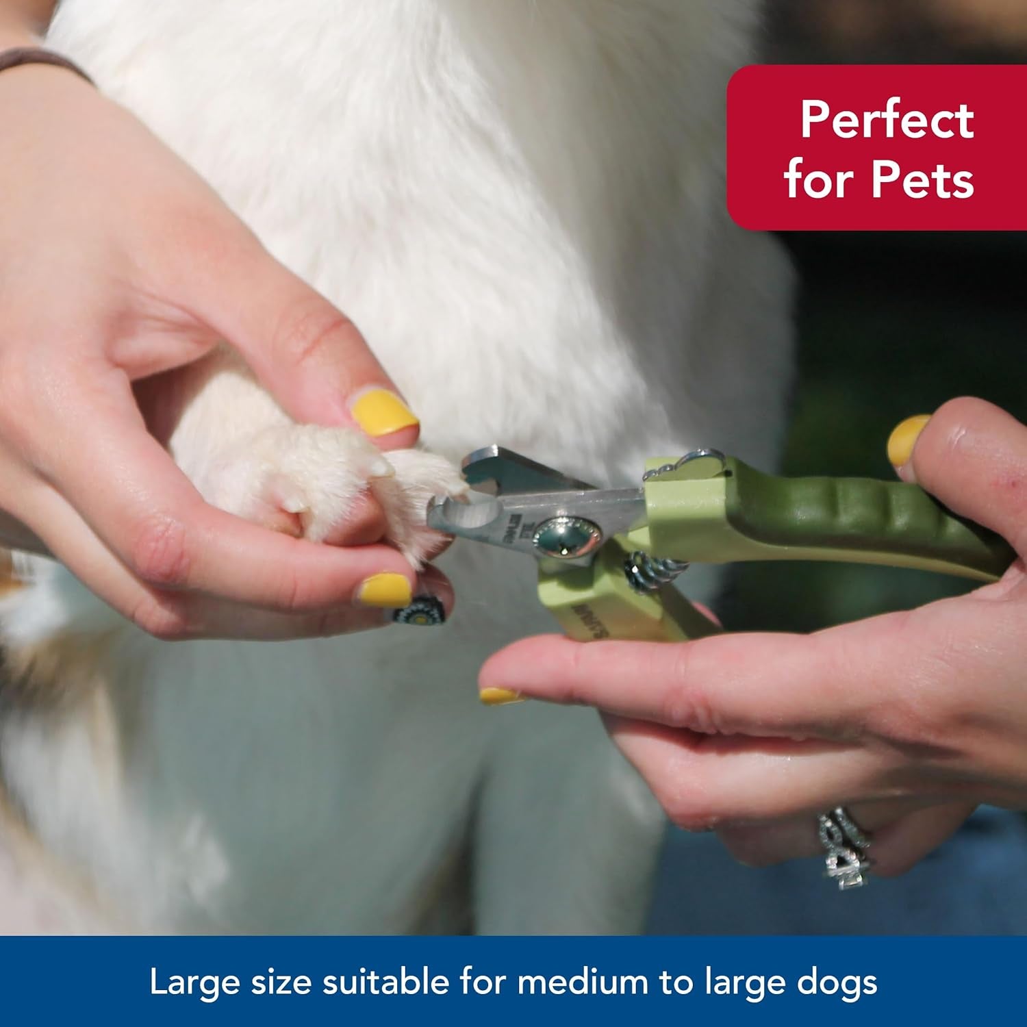 coastal-pet-safari-professional-dog-nail-trimmer-dog-nail-clippers-for-grooming-dog-claw-care-for-small-large-dogs-nail-trimmer-pet-supplies-for-dog-grooming-standard-5-x-1-5