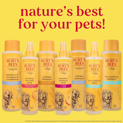 Burt'S Bees for Pets anti Itch Dog Spray with Honeysuckle and Honey, Waterless Grooming Mist for Dry Flaky Skin, Dog Itch Relief between Baths, Natural Origin Coat Care for Dogs, 10 Fl Oz7