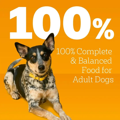 Pedigree Chopped Weight Management Wet Dog Food, Chicken, 13.2Oz, 12 Count | Real Chicken #1 Ingredient, Low Fat, 100% Complete & Balanced, Made in USA, Use as Topper or Serve Alone, Low Fat10