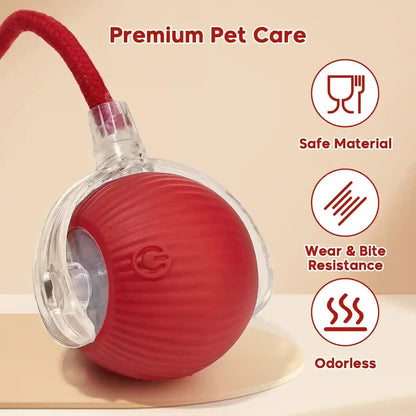 Interactive Dog & Cat Electric Active Toys, Smart Rolling Ball for Dogs & Cats, 360° Smart Automatic Rolling Pet Ball, Fast Moving Toy for Bored Indoor Kitty, Rechargeable(Red)7