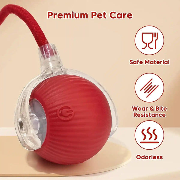 Interactive Dog & Cat Electric Active Toys, Smart Rolling Ball for Dogs & Cats, 360° Smart Automatic Rolling Pet Ball, Fast Moving Toy for Bored Indoor Kitty, Rechargeable(Red)7