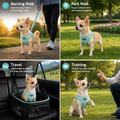 AMTOR Small Dog Harness with Leash Set, No Escape Easy Walk Puppy Harnesses for Training Walking, Step-In Reflective Soft Dogs Vest for XS S Medium Extra-Small Large Sized Dog(Green,S)3