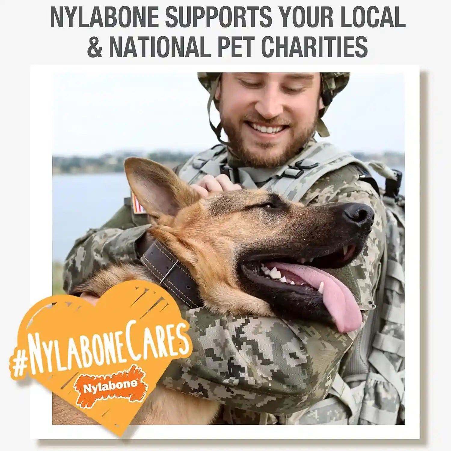 nylabone-healthy-edibles-meaty-center-dog-treats-beef-flavor-12-count-natural-dog-chew-bones-made-in-usa-highly-digestible-help-clean-teeth-long-lasting-chews-for-small-dogs-up-to-25-lbs