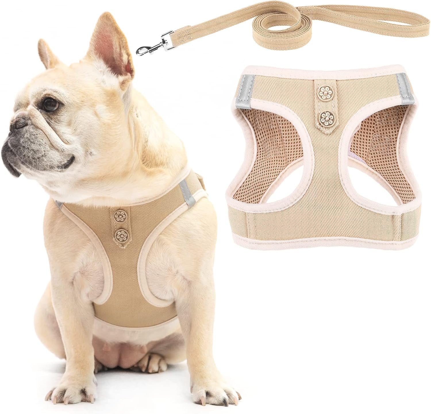 pupteck-dog-harness-and-leash-set-for-small-medium-dogs-no-pull-step-in-soft-mesh-puppy-cat-vest-harnesses-reflective-at-night-green-s