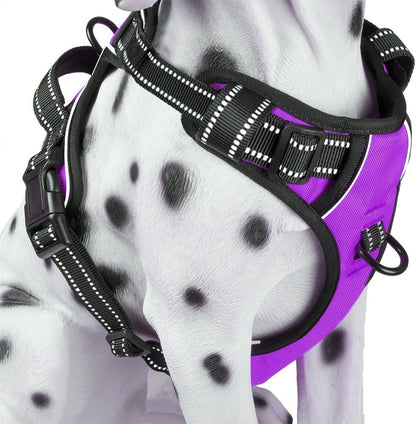 Poypet No Pull Dog Harness, Reflective Comfortable Vest Harness with Front & Back 2 Leash Attachments and Easy Control Handle Adjustable Soft Padded Pet Vest for Small Medium Large Dogs (Mint Blue,M)10
