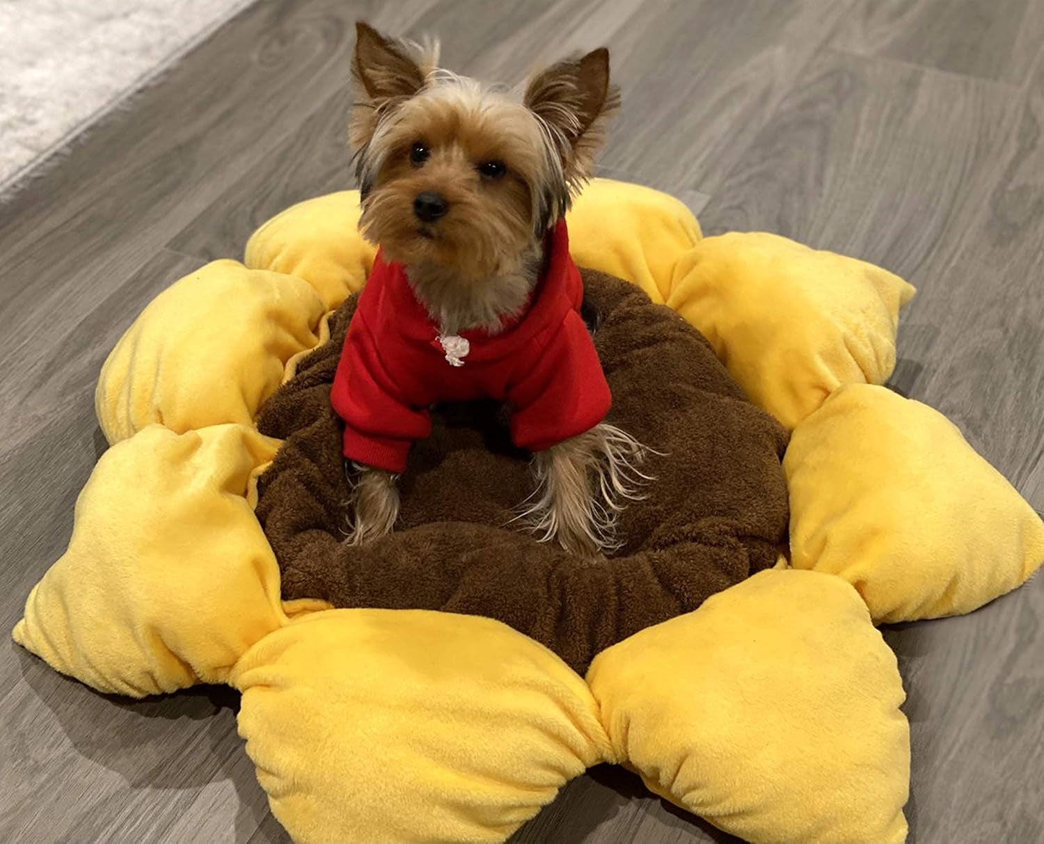tonbo-soft-plush-small-cute-and-cozy-nature-dog-cat-bed-washer-and-dryer-friendly-sunflower