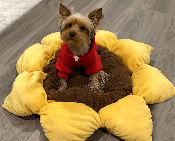 TONBO Soft Plush Small Cute and Cozy Nature Dog Cat Bed, Washer and Dryer Friendly (Sunflower)4