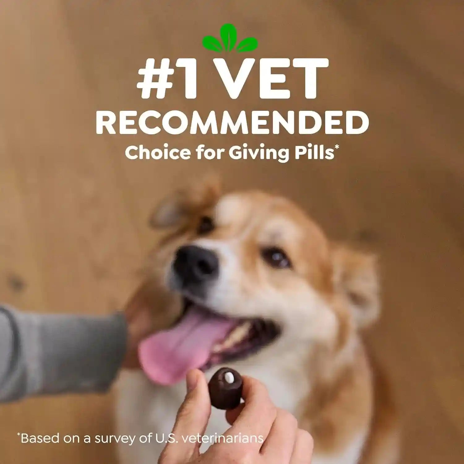 greenies-pill-pockets-small-dog-treats-chicken-flavor-3-2-oz-vet-recommended-masks-pill-smell-taste-easy-pinch-close-design-stress-free-medicating-tablet-size-3-2-oz-pouch