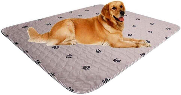 Washable Dog Pee Pads with Puppy Grooming Gloves,Puppy Pads,Reusable Pet Training Pads,Large Dog Pee Pad,Waterproof Pet Pads for Dog Bed Mat,Super Absorbing Whelping Pads9