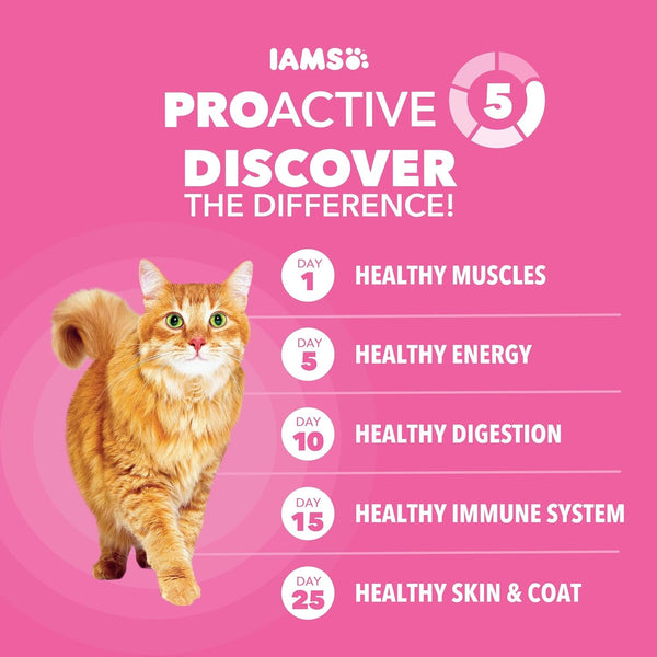 IAMS Proactive Health Sensitive Digestion Dry Cat Food, Turkey, 13 Lb | Veterinarian-Recommended, Real Turkey #1 Ingredient, Prebiotics & Fiber Blend, Omega 6 & 3 for Coat Shine5